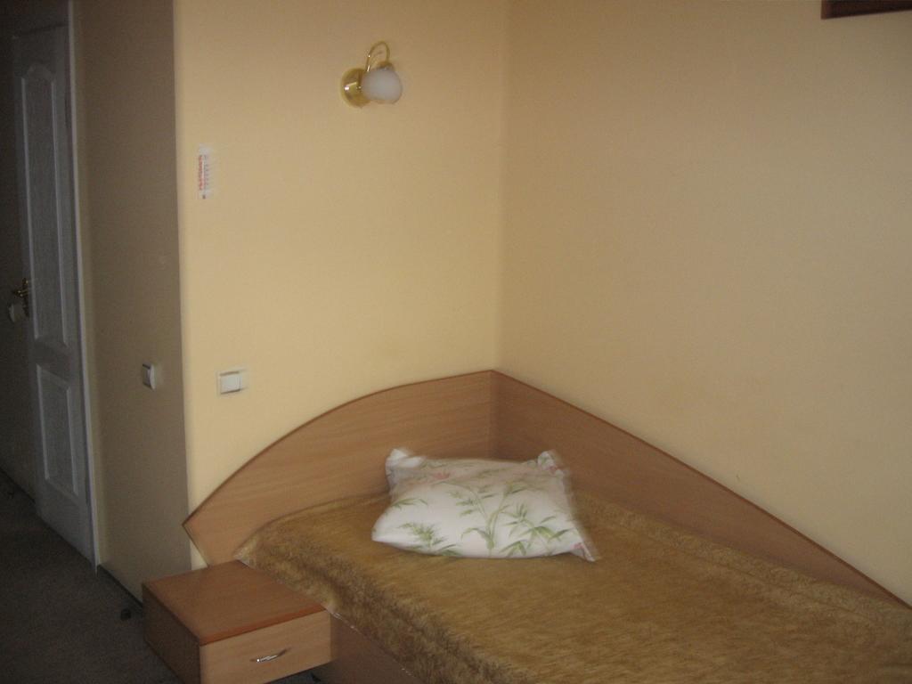 Sozh Hotel Gomel Room photo